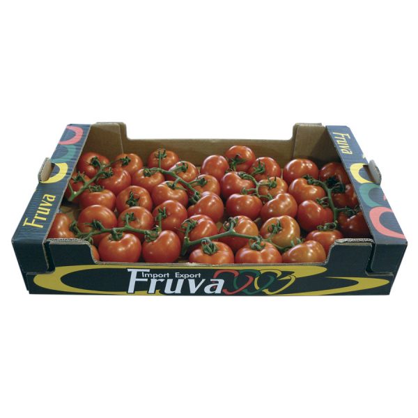 comprar tomate rama palets