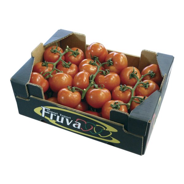 Comprar tomate rama por cajas