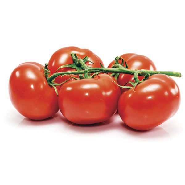 Comprar tomate rama mayoristas